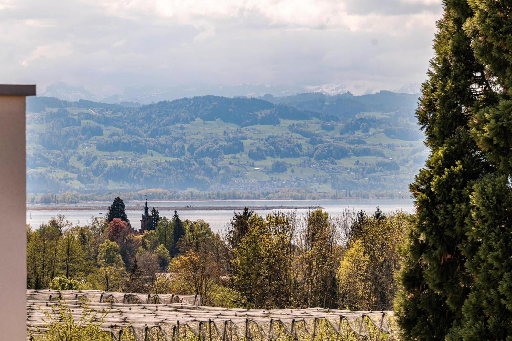 Ferienwohnungen Meyer Lindau  Dış mekan fotoğraf