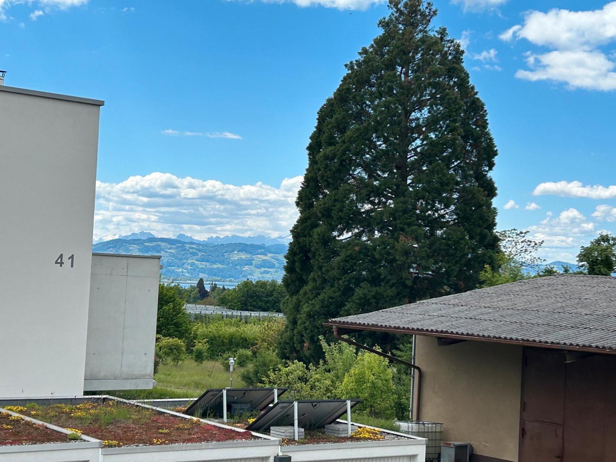 Ferienwohnungen Meyer Lindau  Dış mekan fotoğraf
